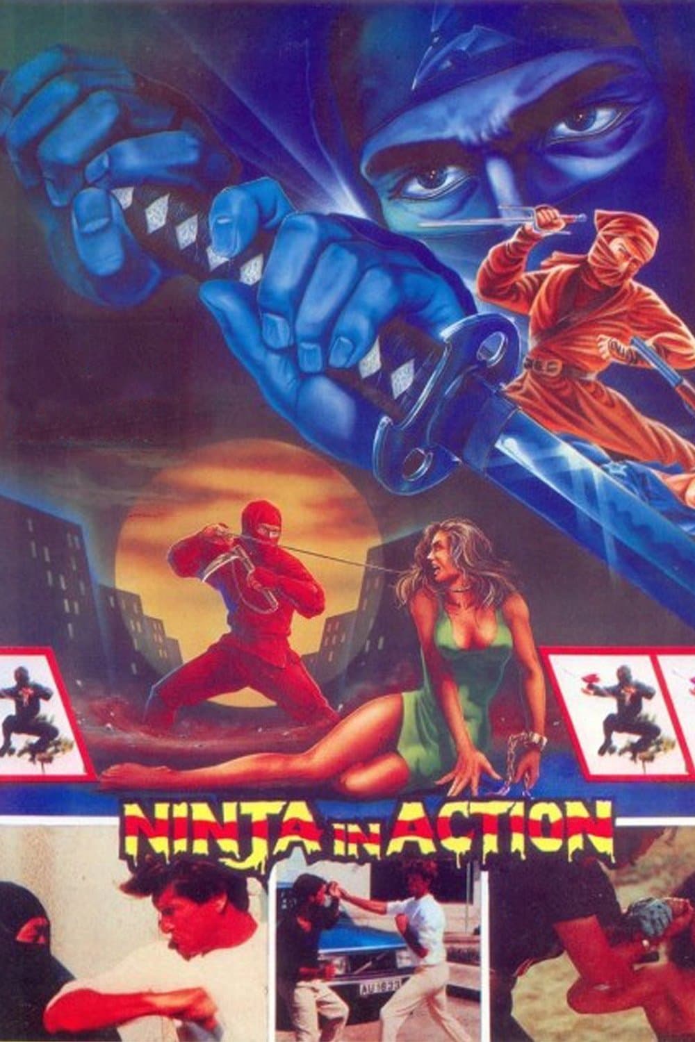 Poster Ninja in Action