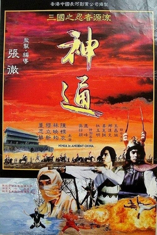 Poster Ninja in Ancient China