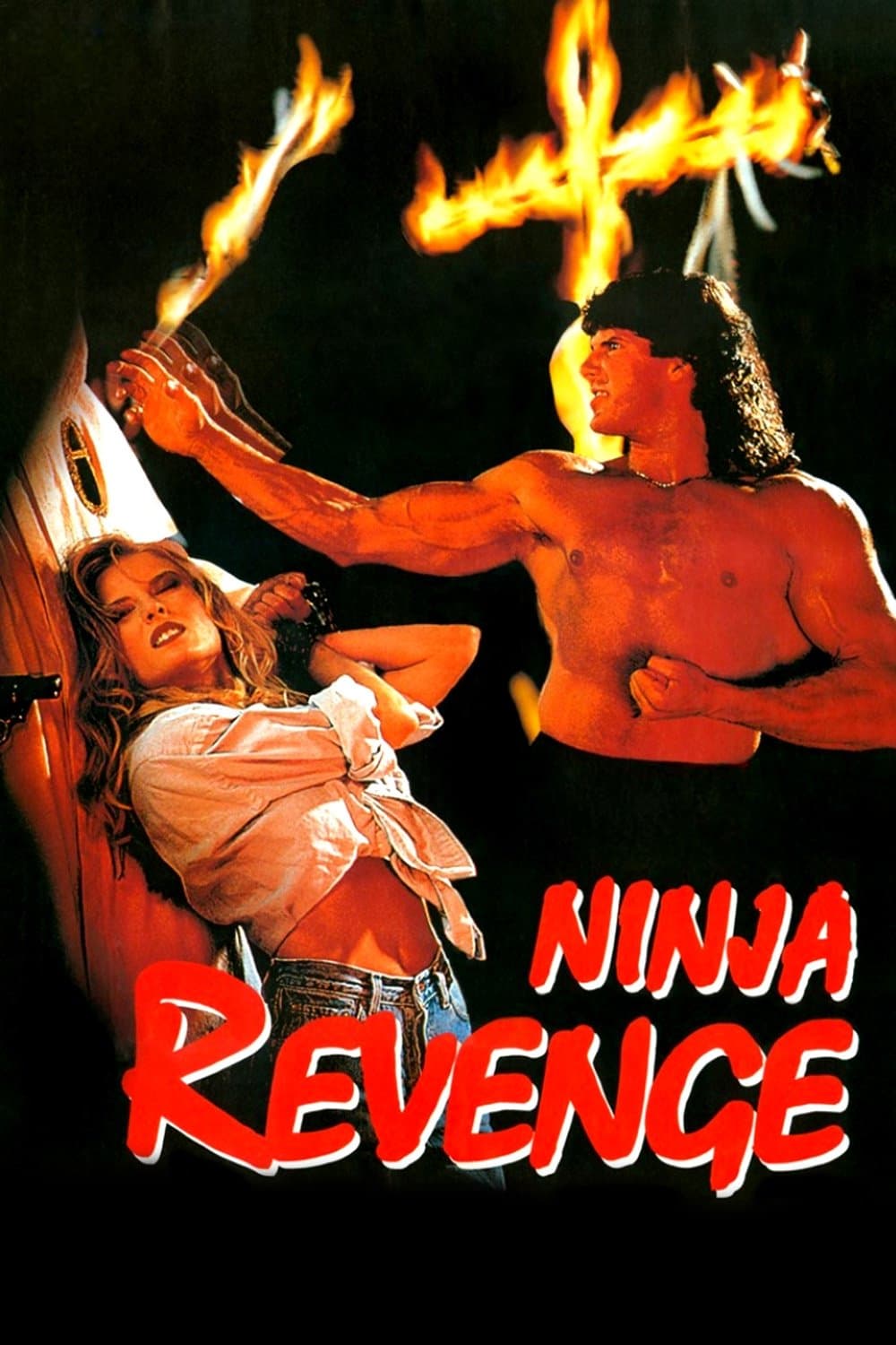 Poster Ninja Vengeance