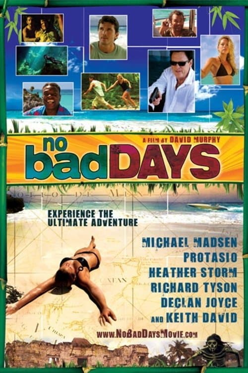 Poster No Bad Days