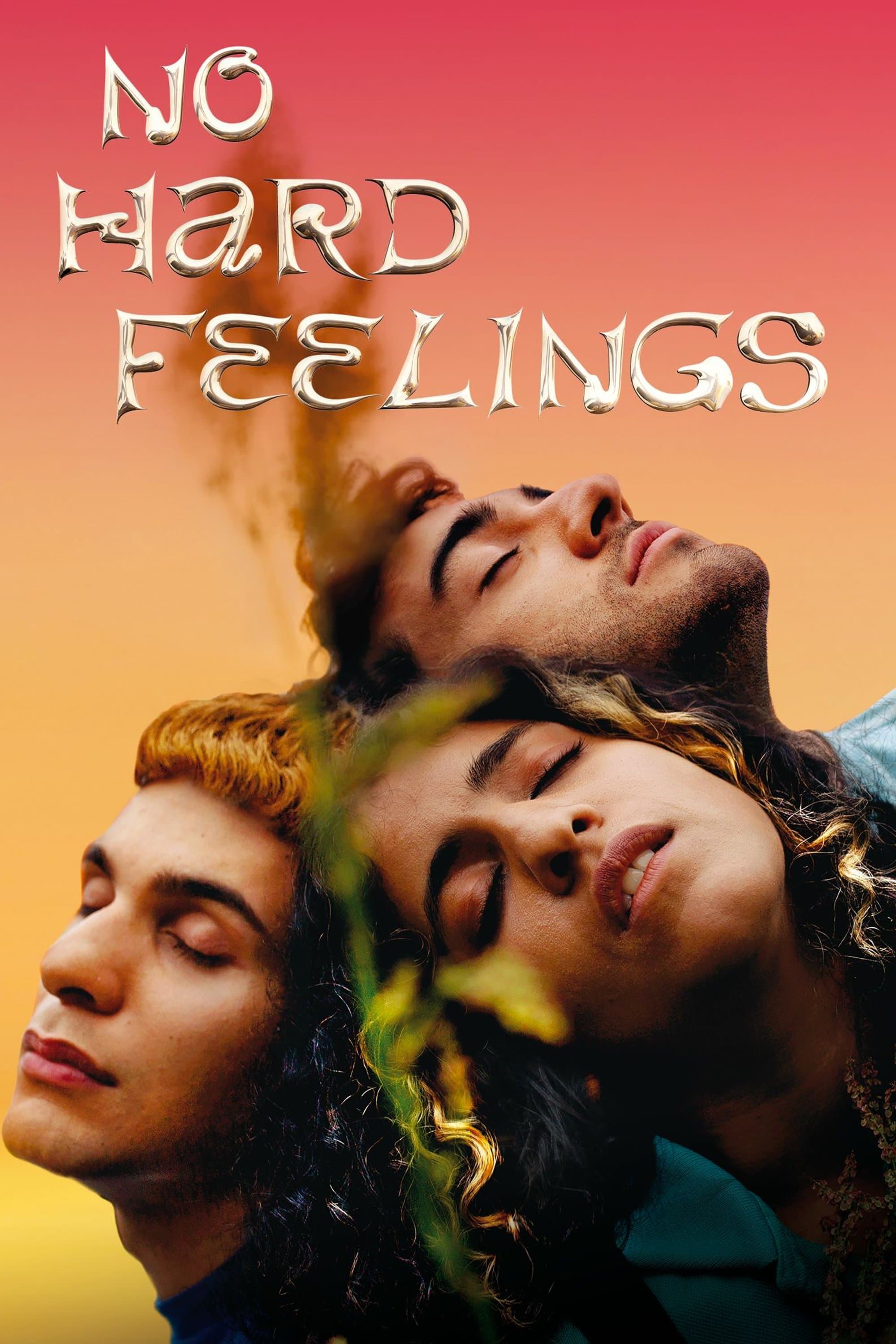 Poster No Hard Feelings