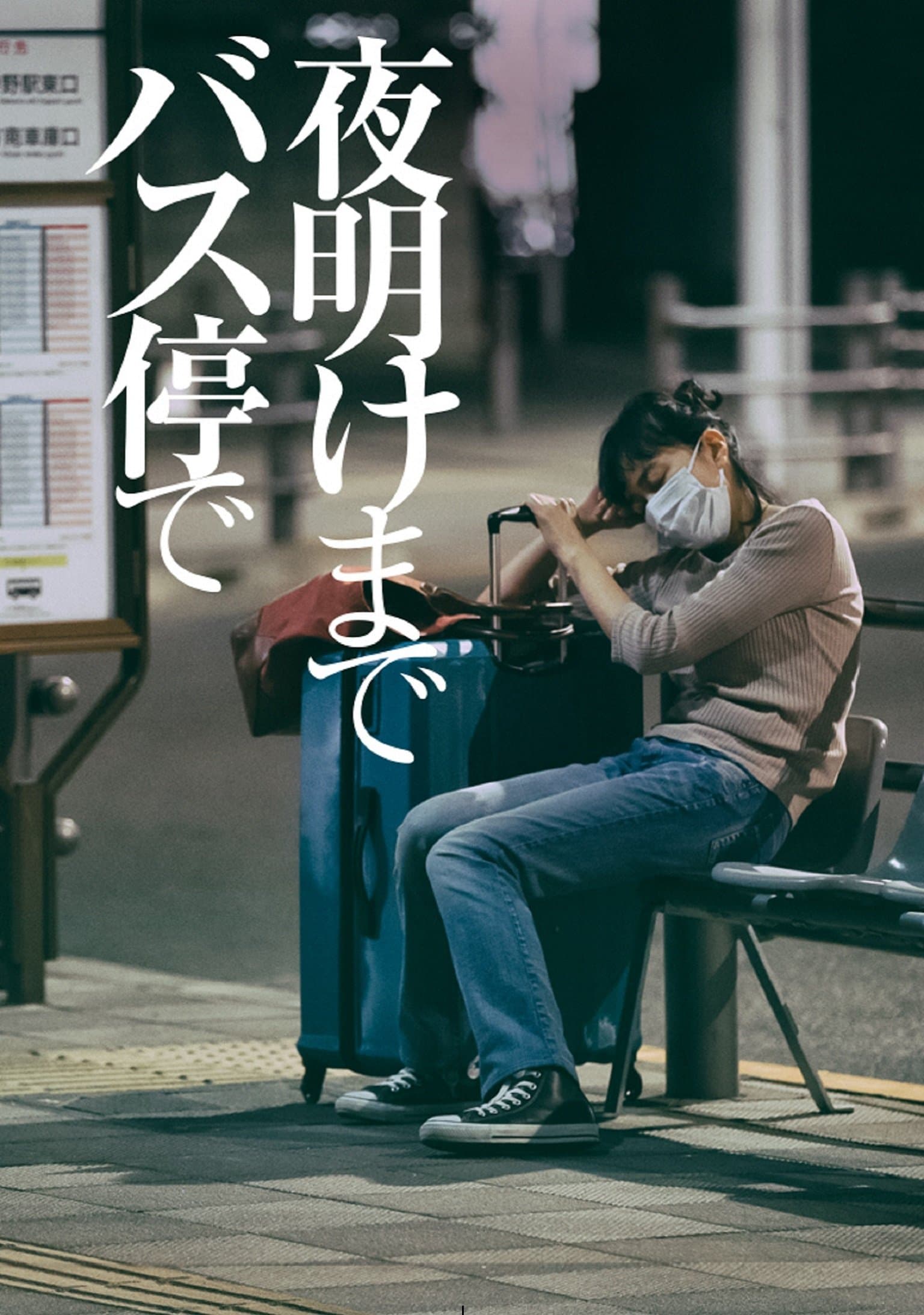 Poster No Place to Go
