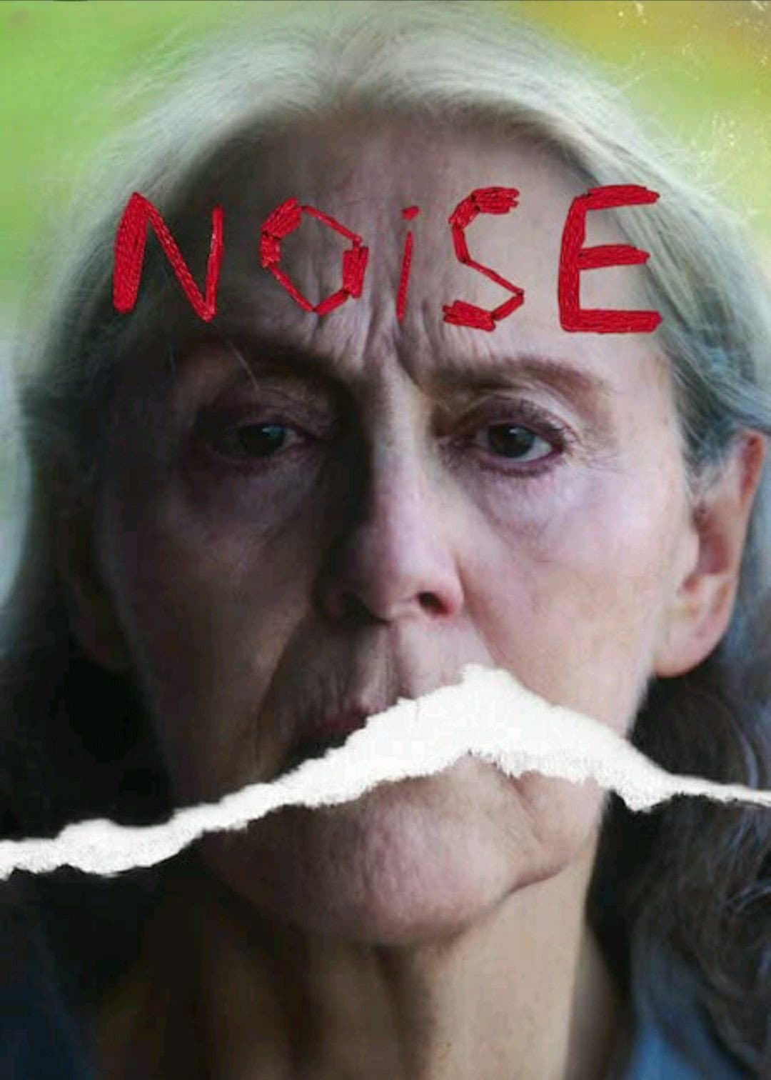 Poster Noise