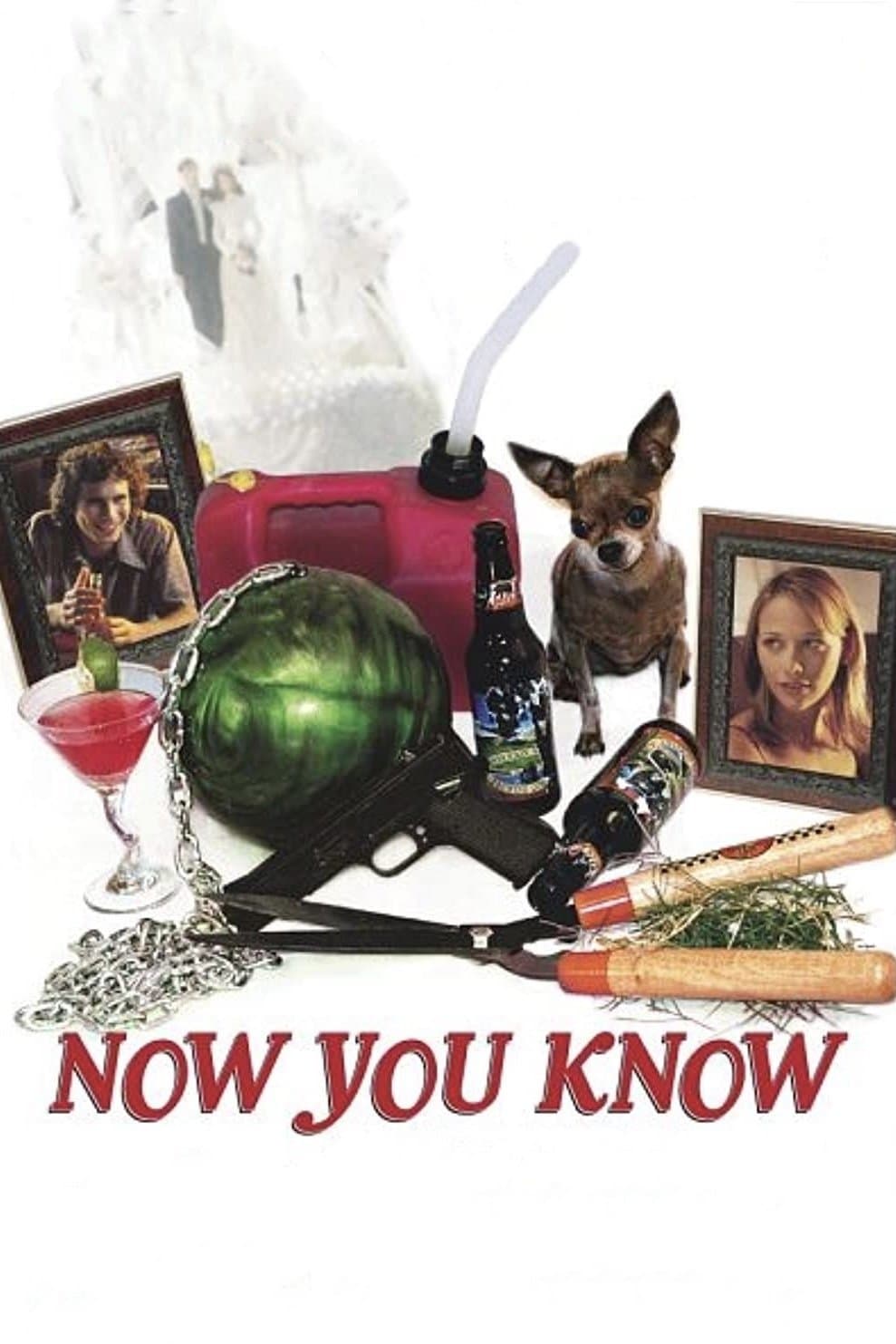 Poster Now You Know