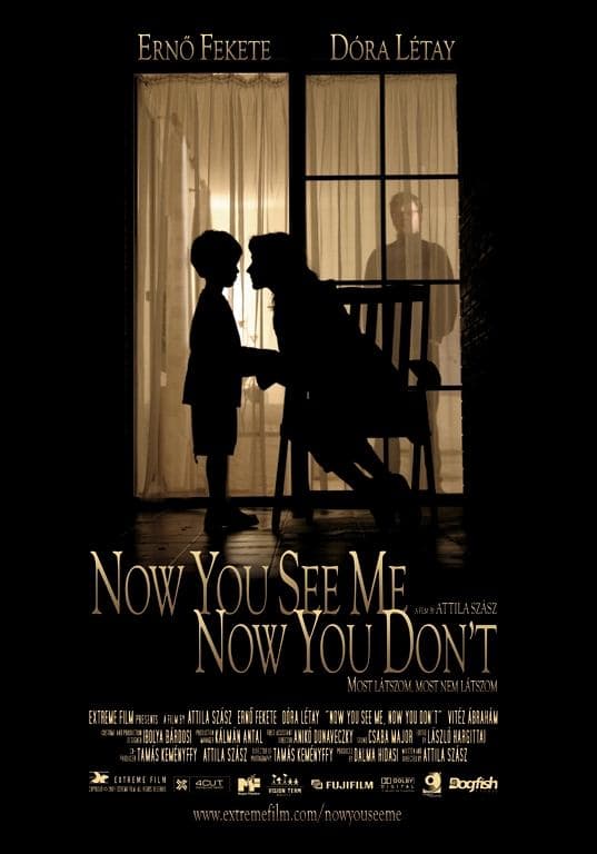 Poster Now You See Me, Now You Don't