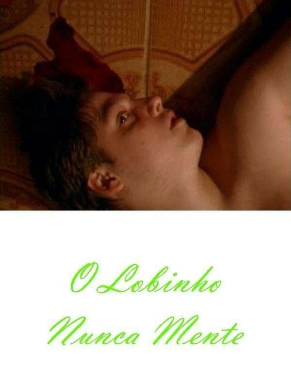 Poster O Lobinho Nunca Mente