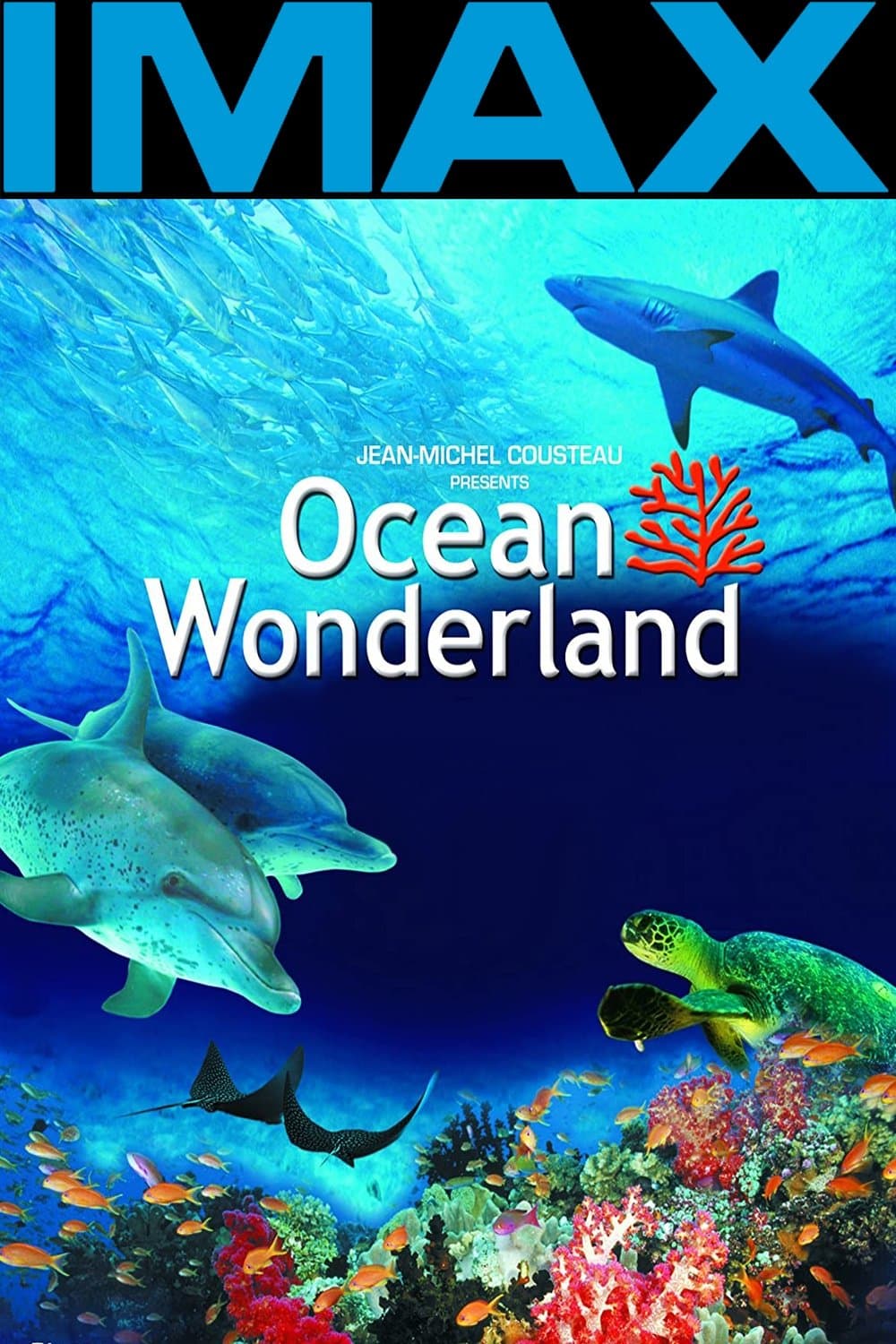 Poster Ocean Wonderland 3D