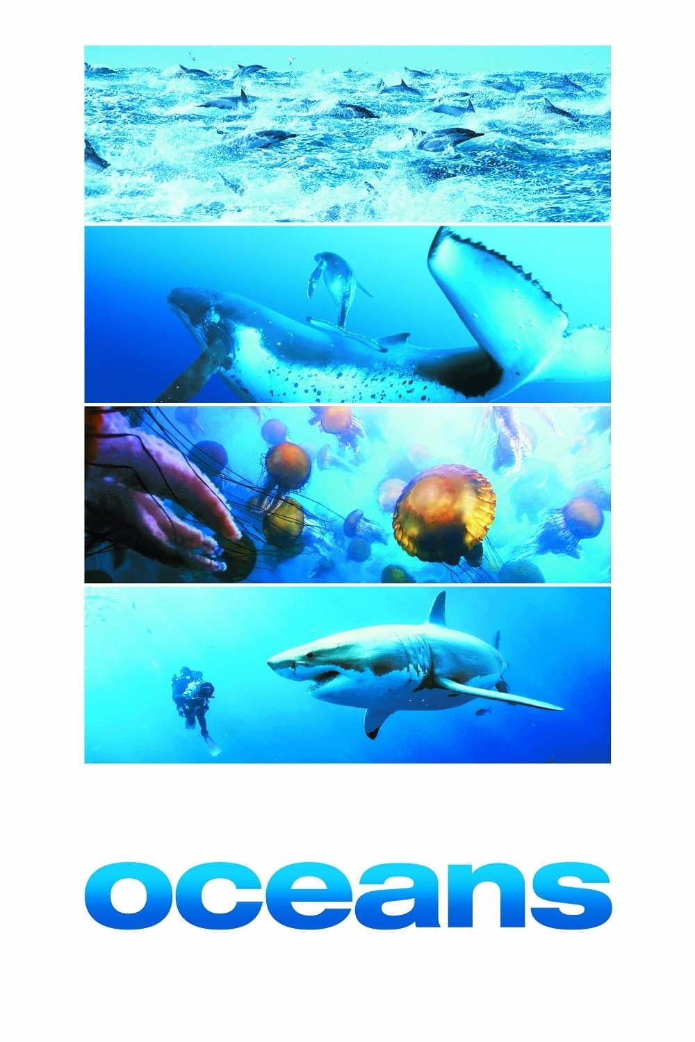 Poster Oceans