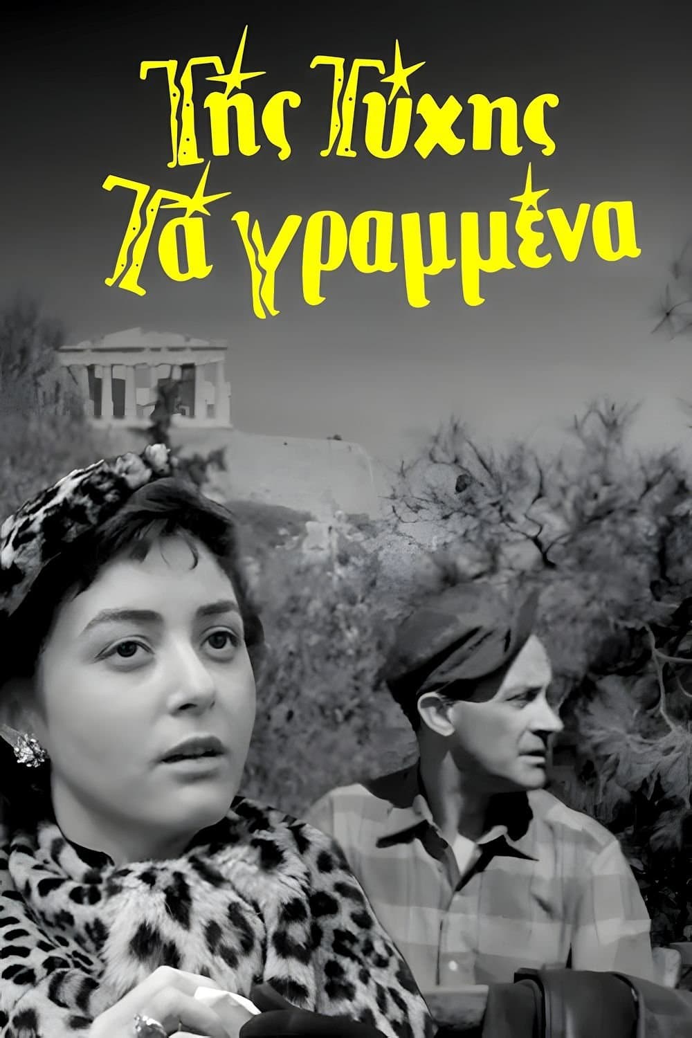 Poster Of Fortune The Written