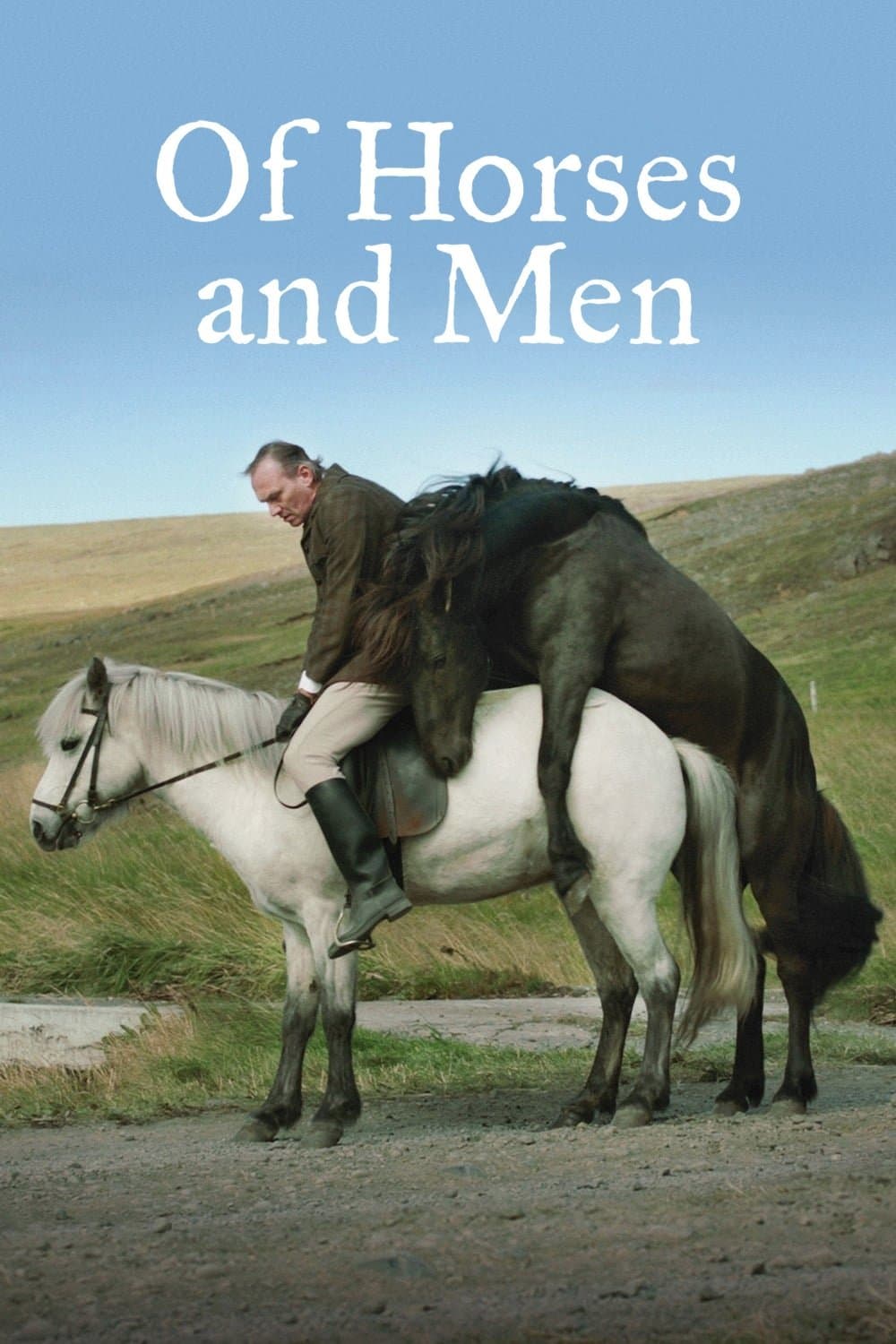 Poster Of Horses and Men