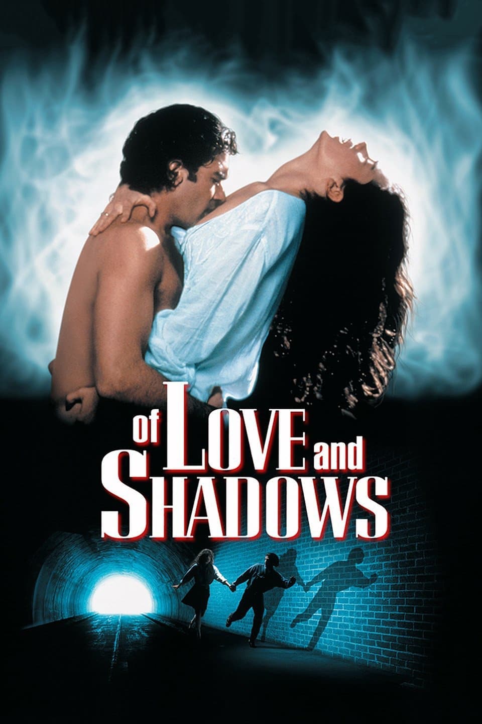 Poster Of Love and Shadows