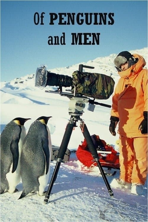 Poster Of Penguins and Men