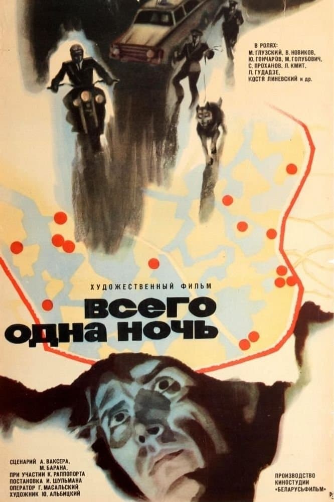 Poster One Night Only