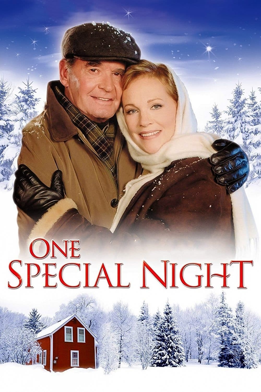 Poster One Special Night