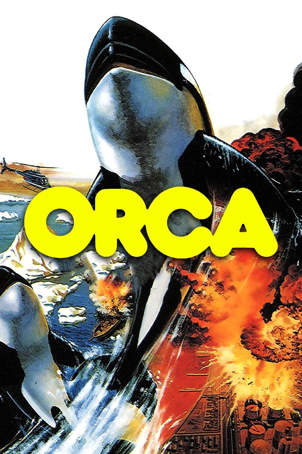 Poster Orca