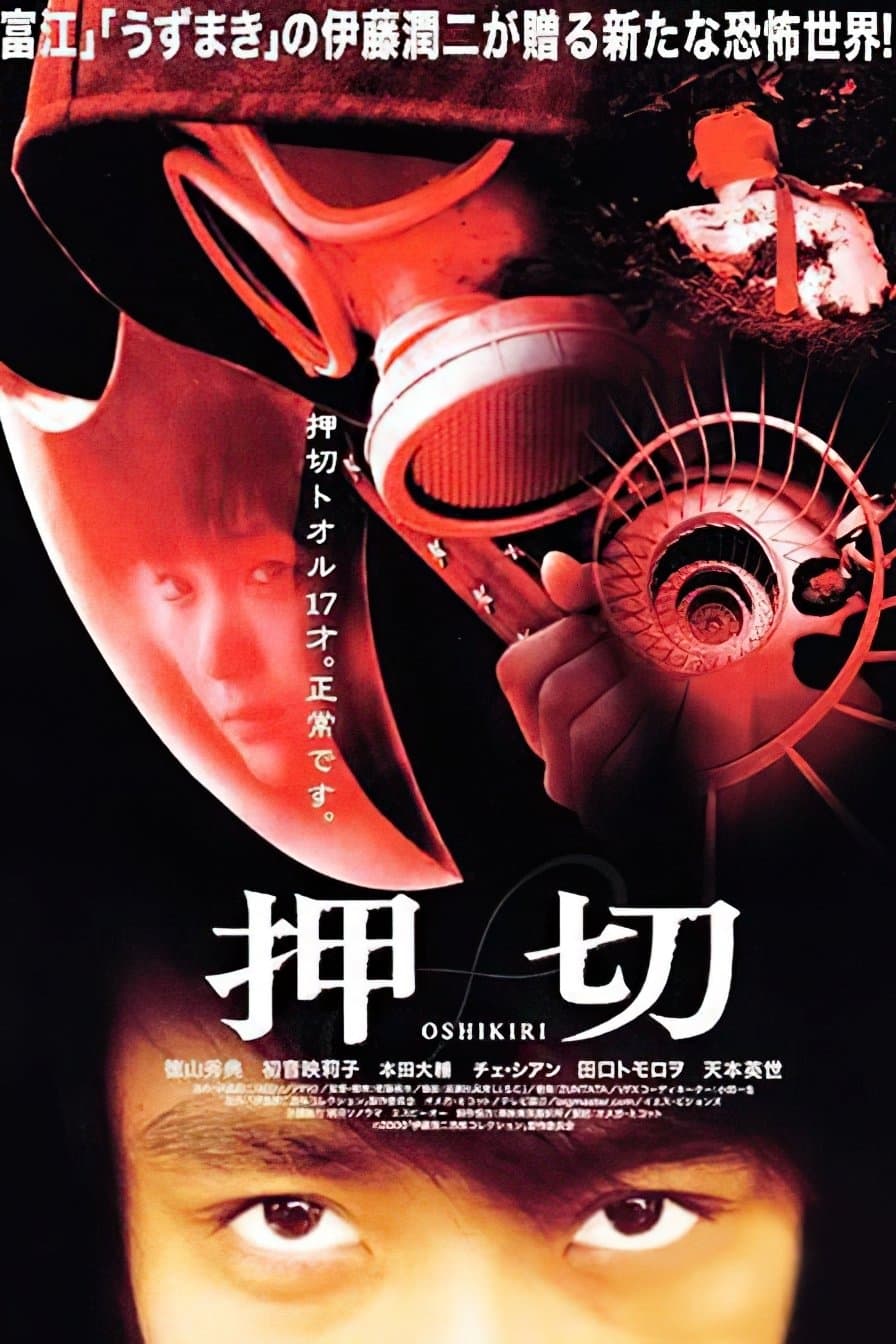 Poster Oshikiri
