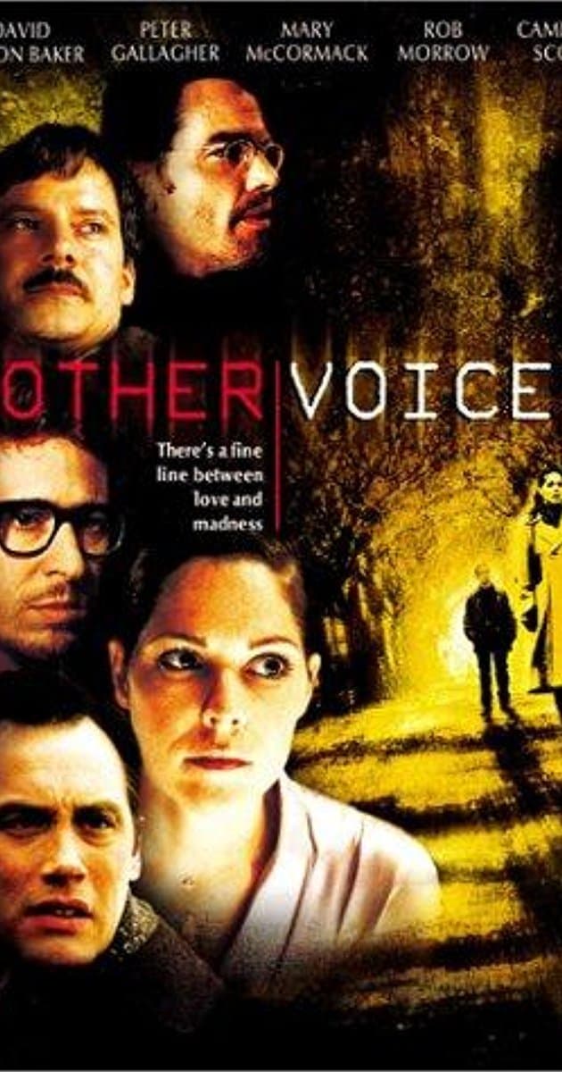 Poster Other Voices