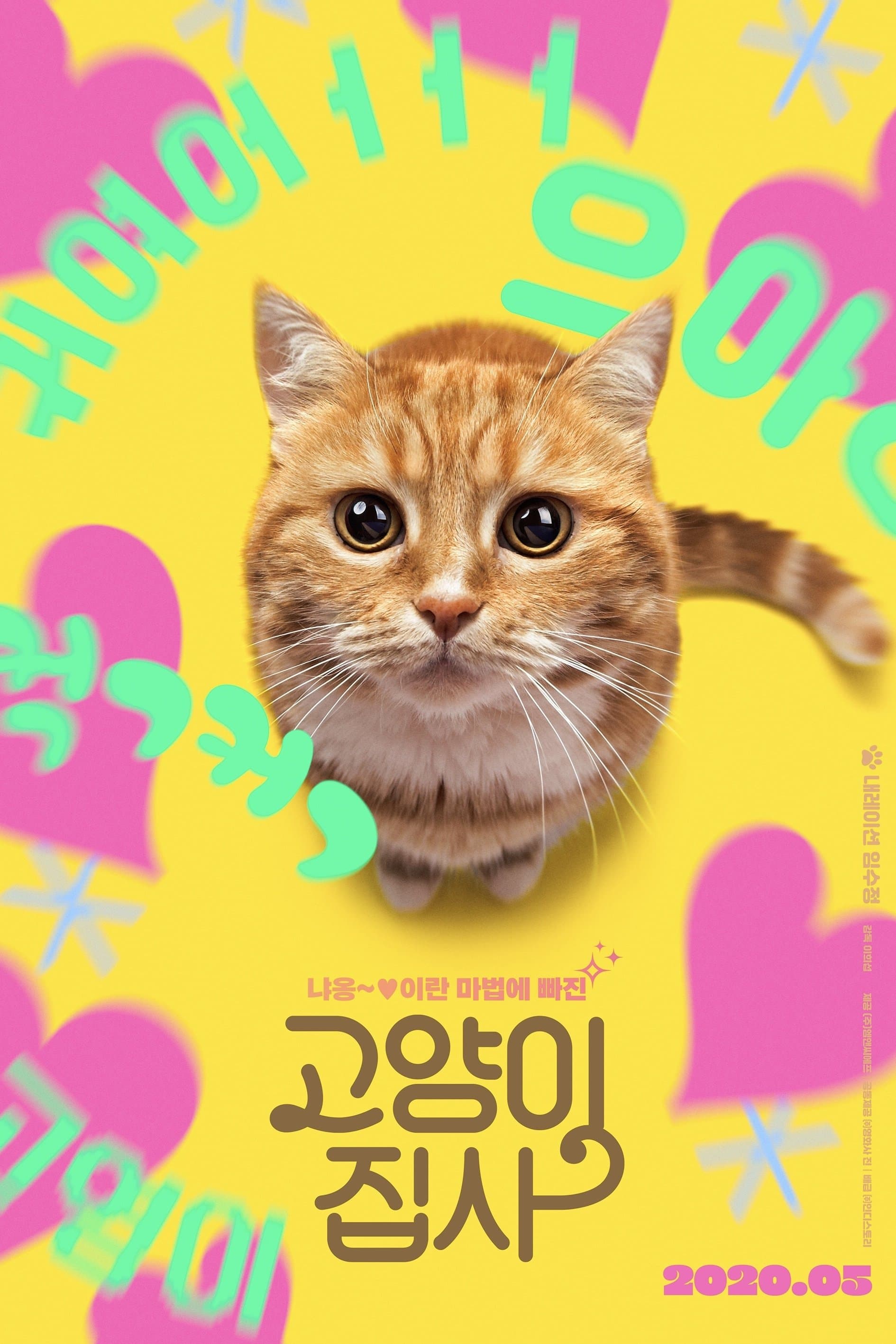 Poster Our Cat