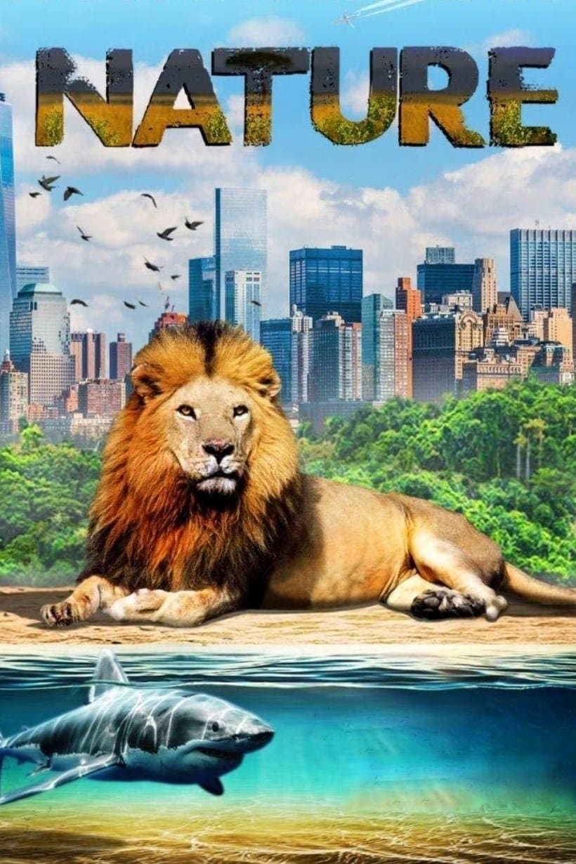 Poster Our Nature