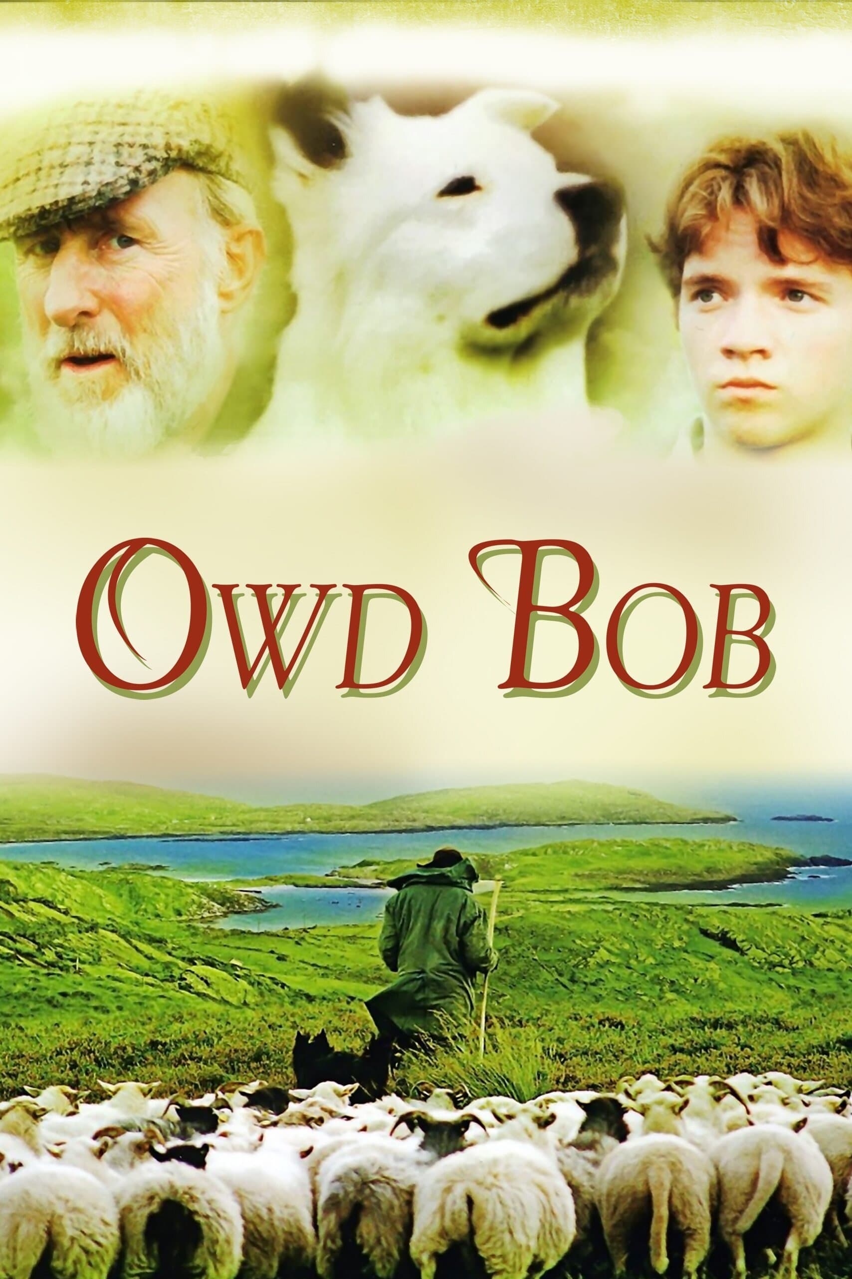 Poster Owd Bob