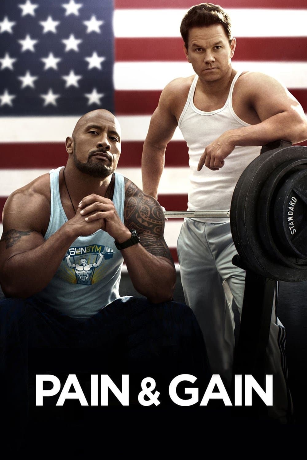 Poster Pain & Gain