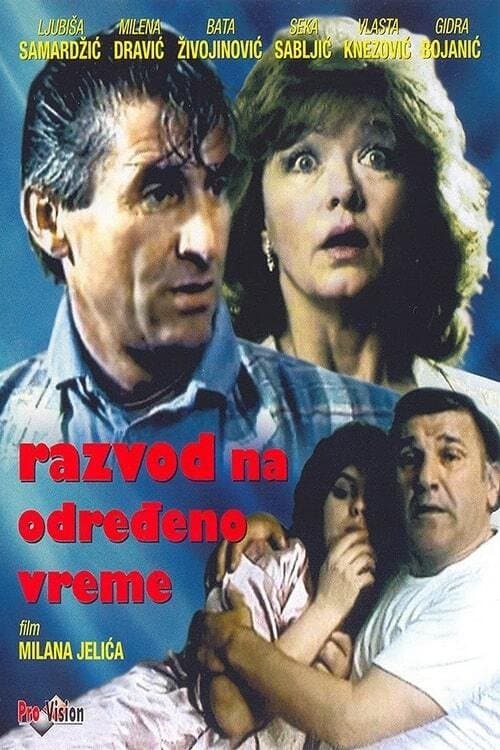 Poster Part-Time Divorce