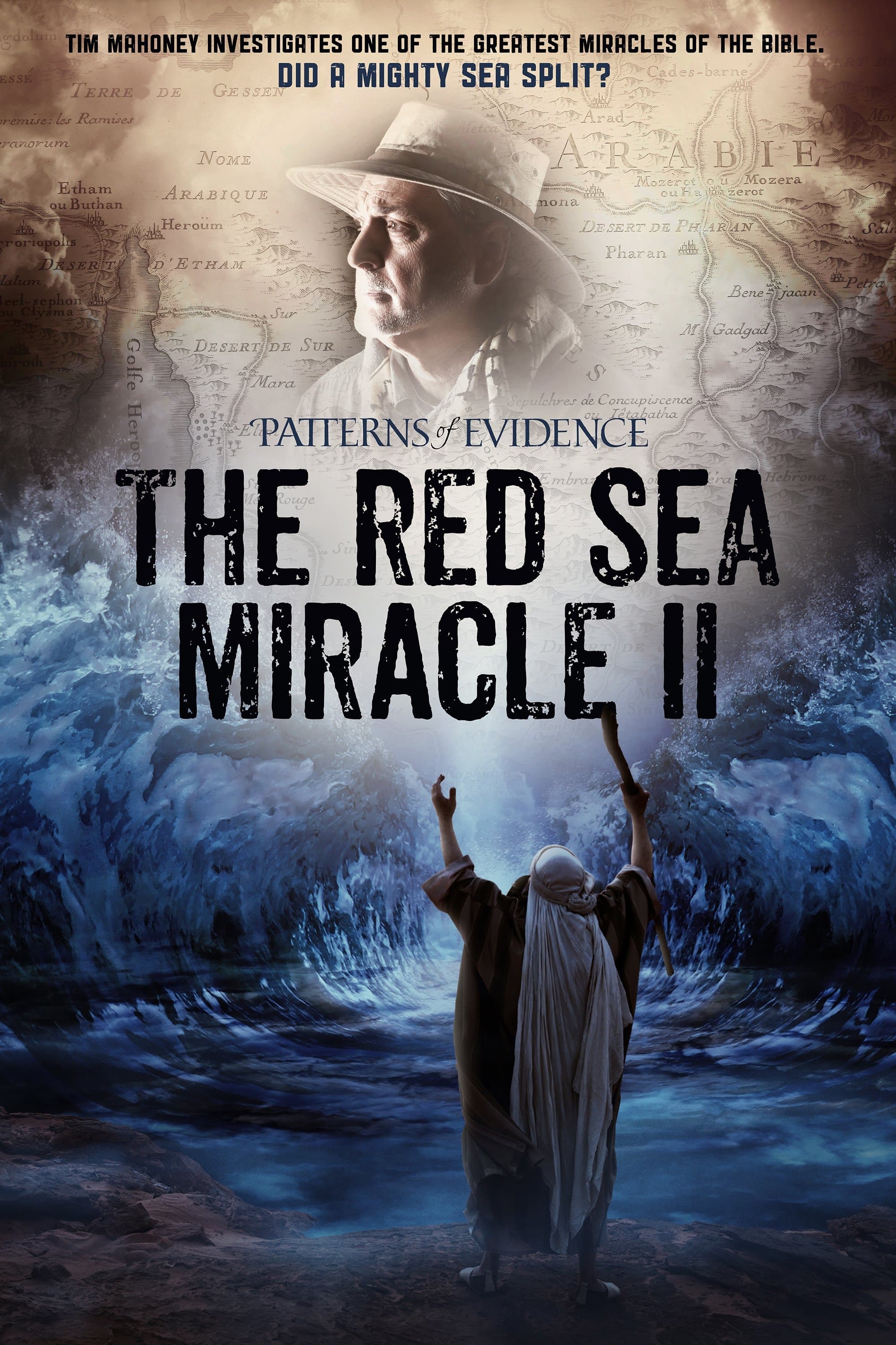Poster Patterns of Evidence: The Red Sea Miracle II