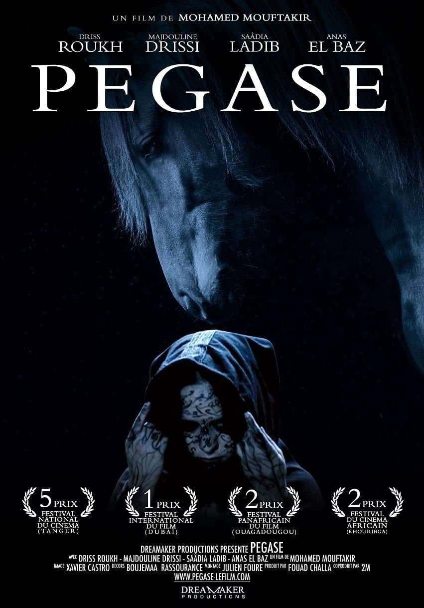 Poster Pegasus