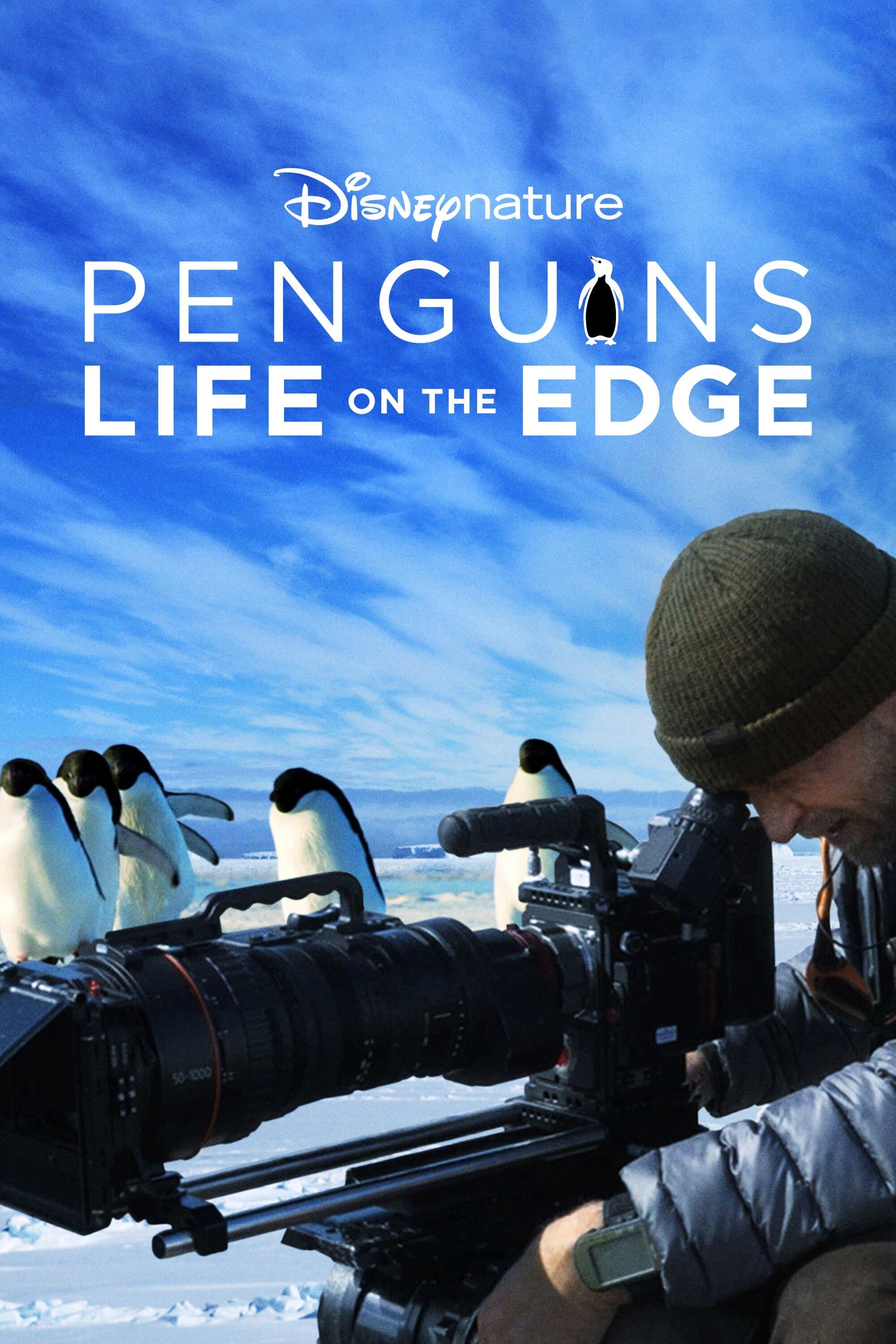 Poster Penguins: Life on the Edge