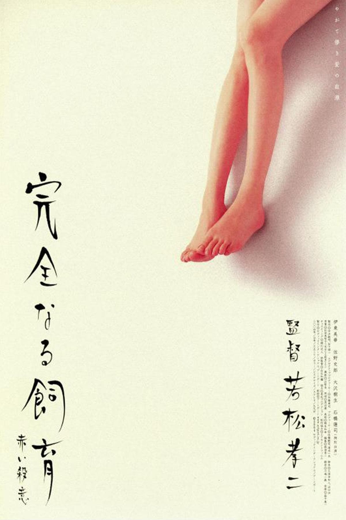 Poster Perfect Education 6