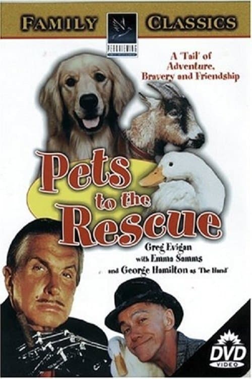 Poster Pets