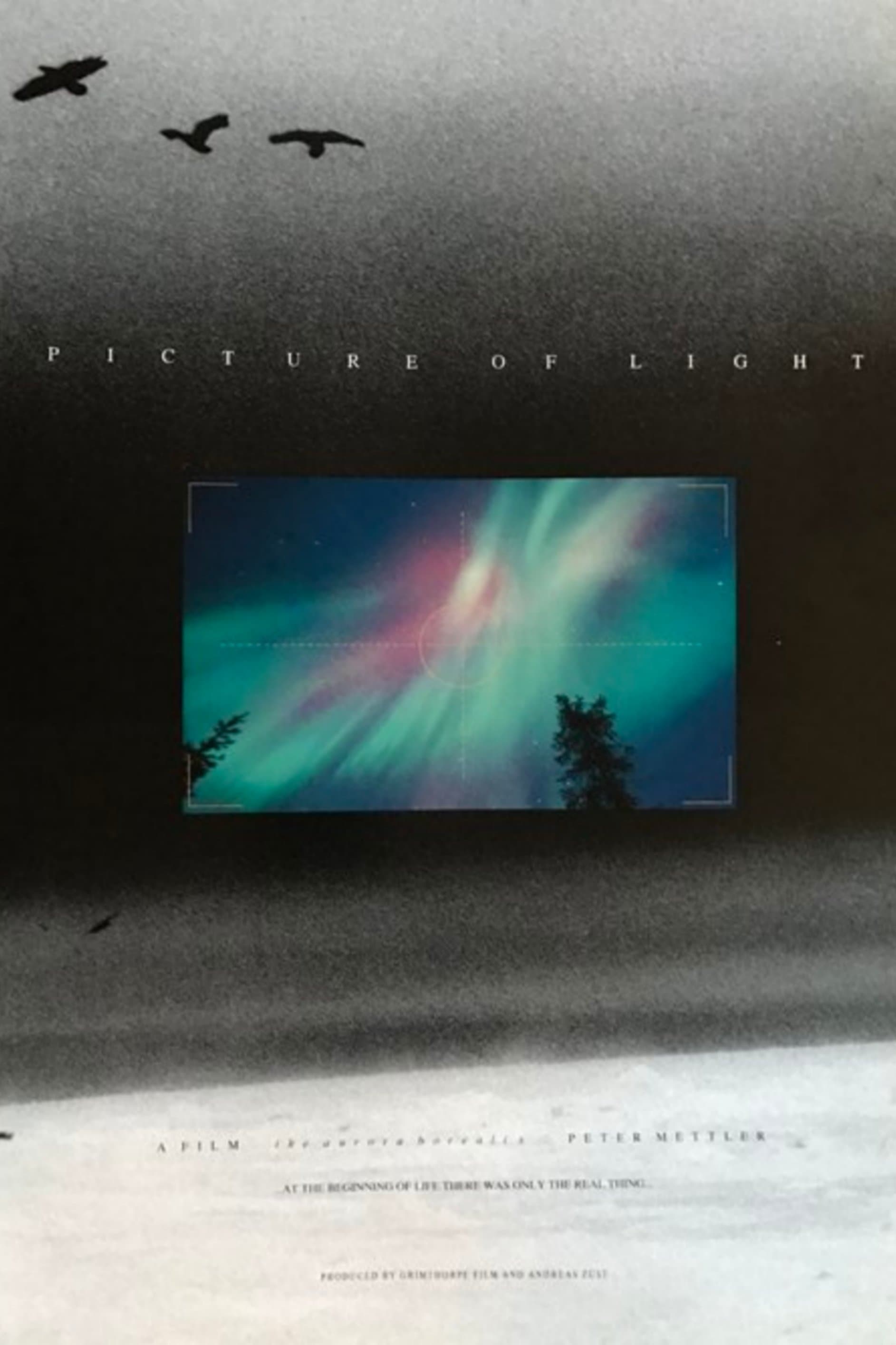 Poster Picture of Light