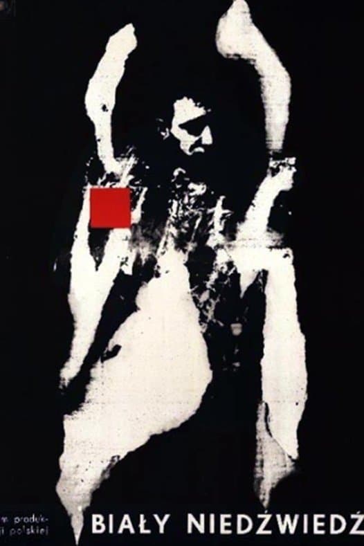 Poster Polar Bear