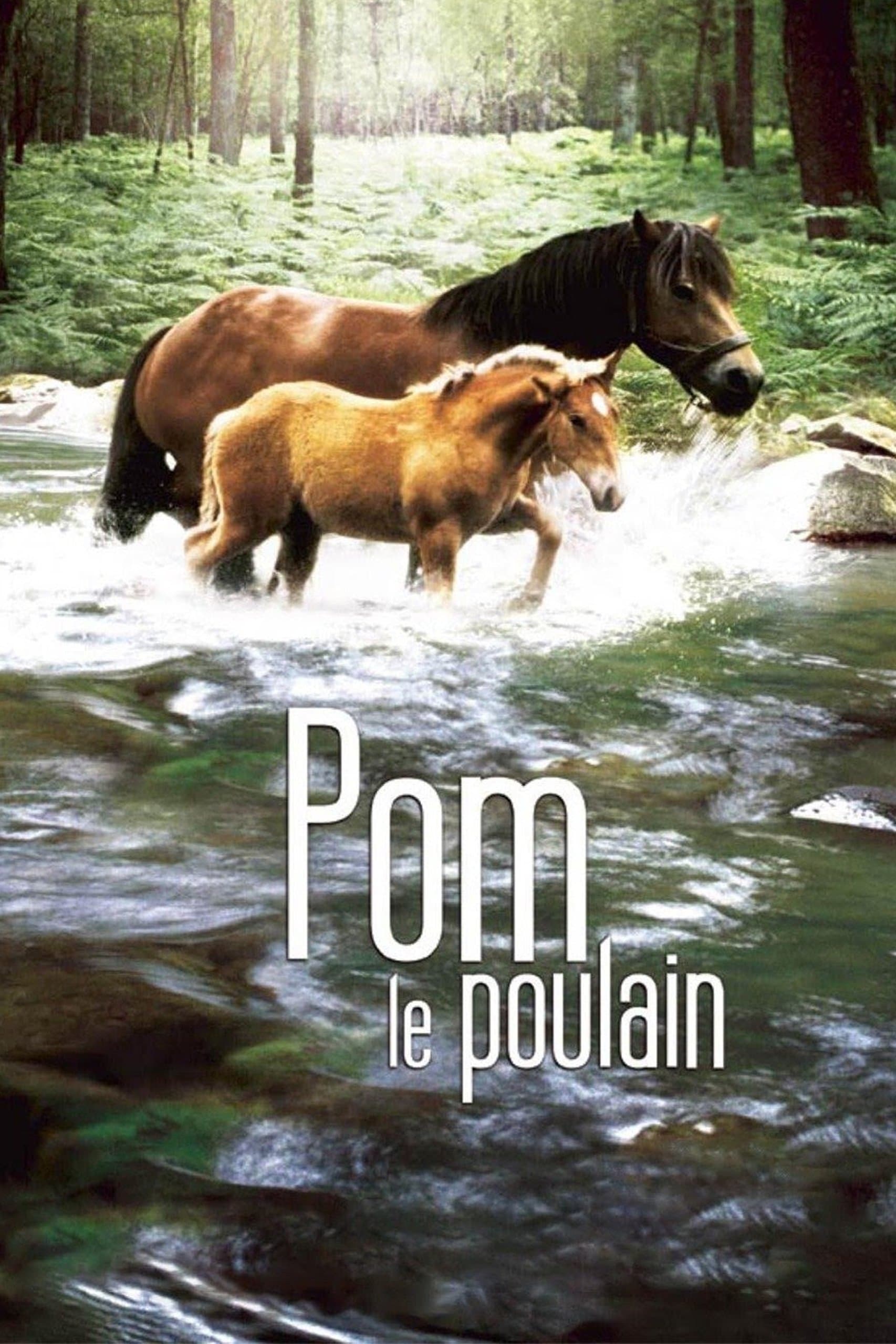 Poster Pom, le poulain