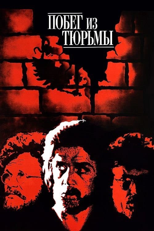 Poster Prison Break