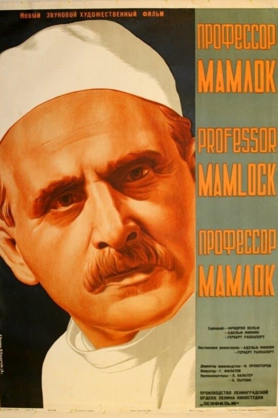 Poster Professor Mamlock