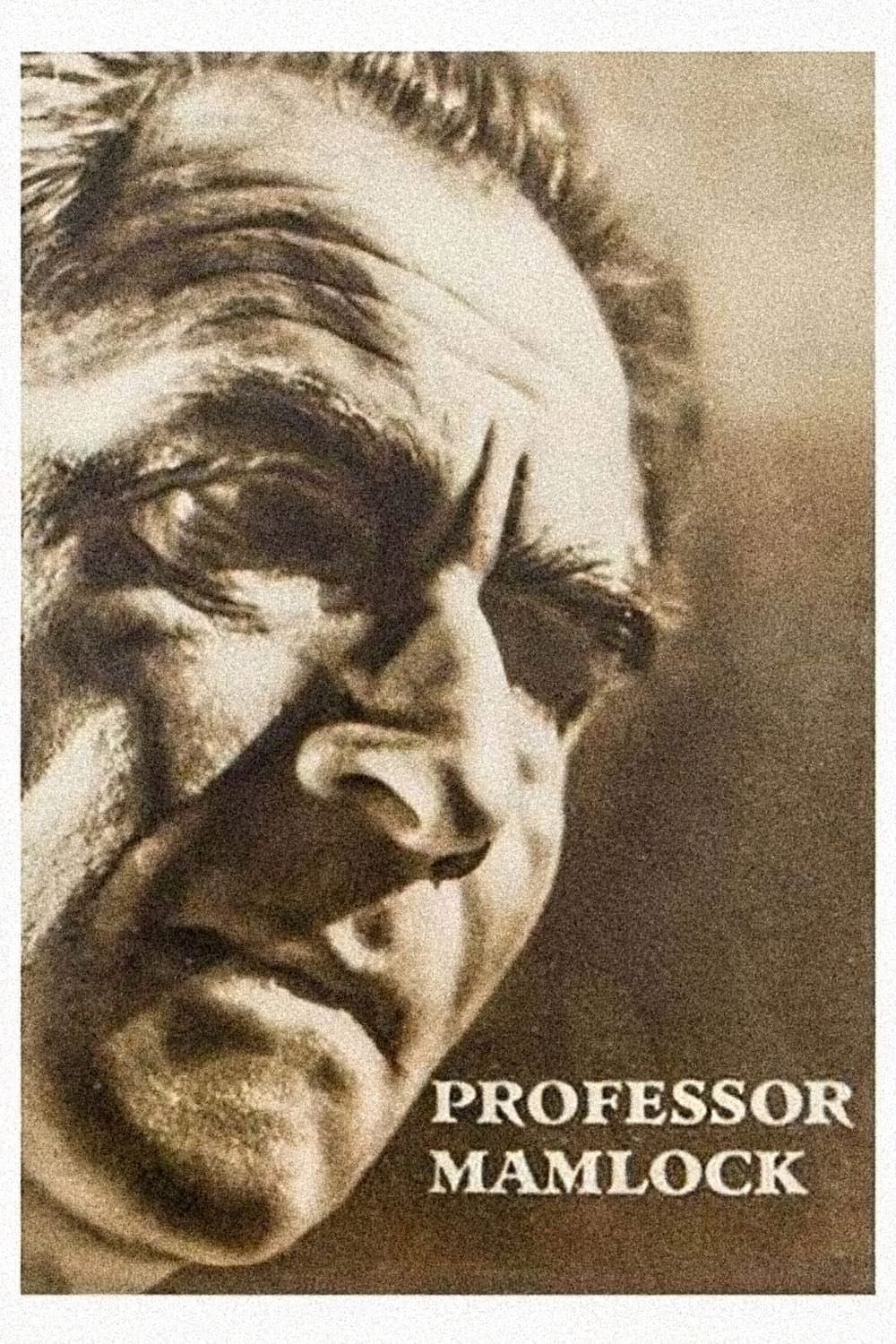 Poster Professor Mamlock