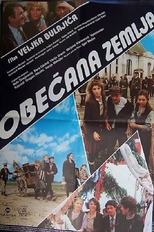Poster Promised Land