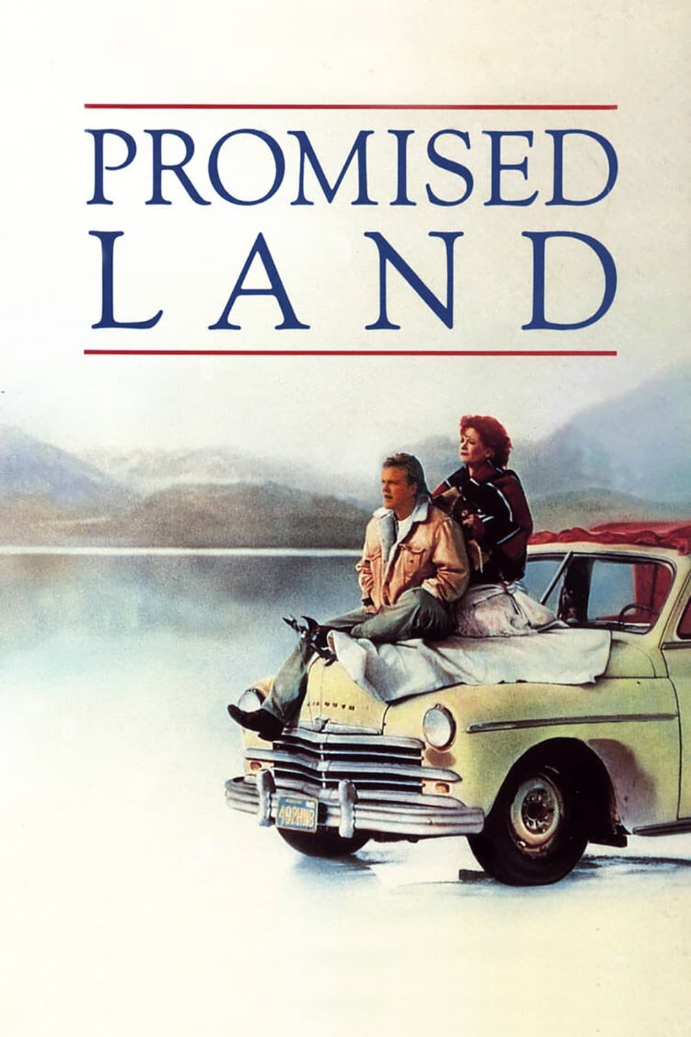 Poster Promised Land