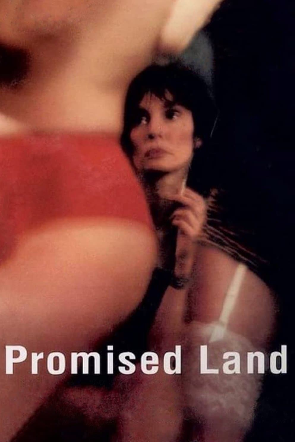 Poster Promised Land