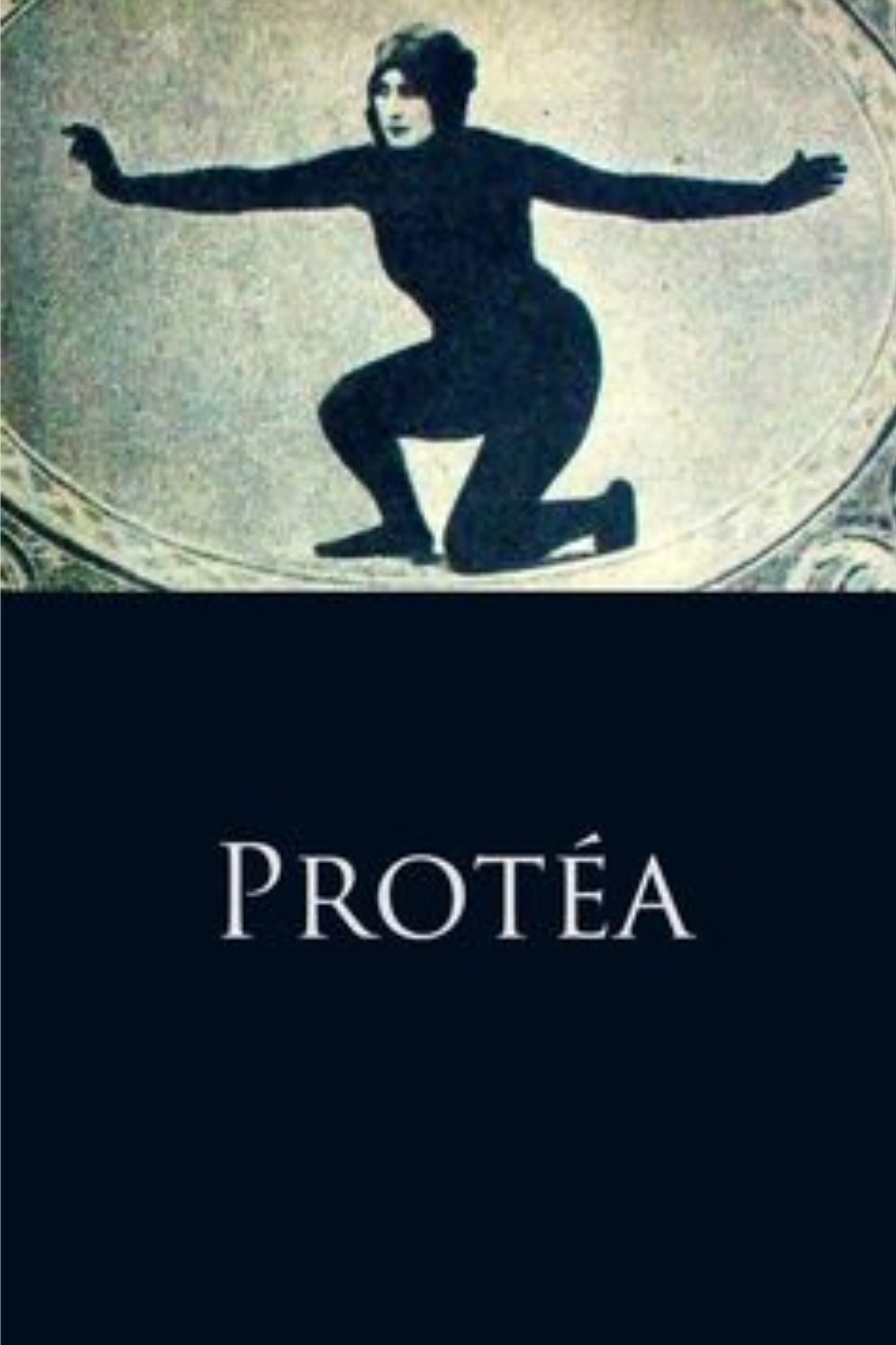 Poster Protéa