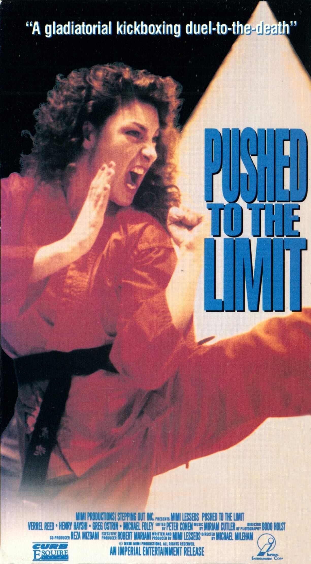 Poster Pushed to the Limit