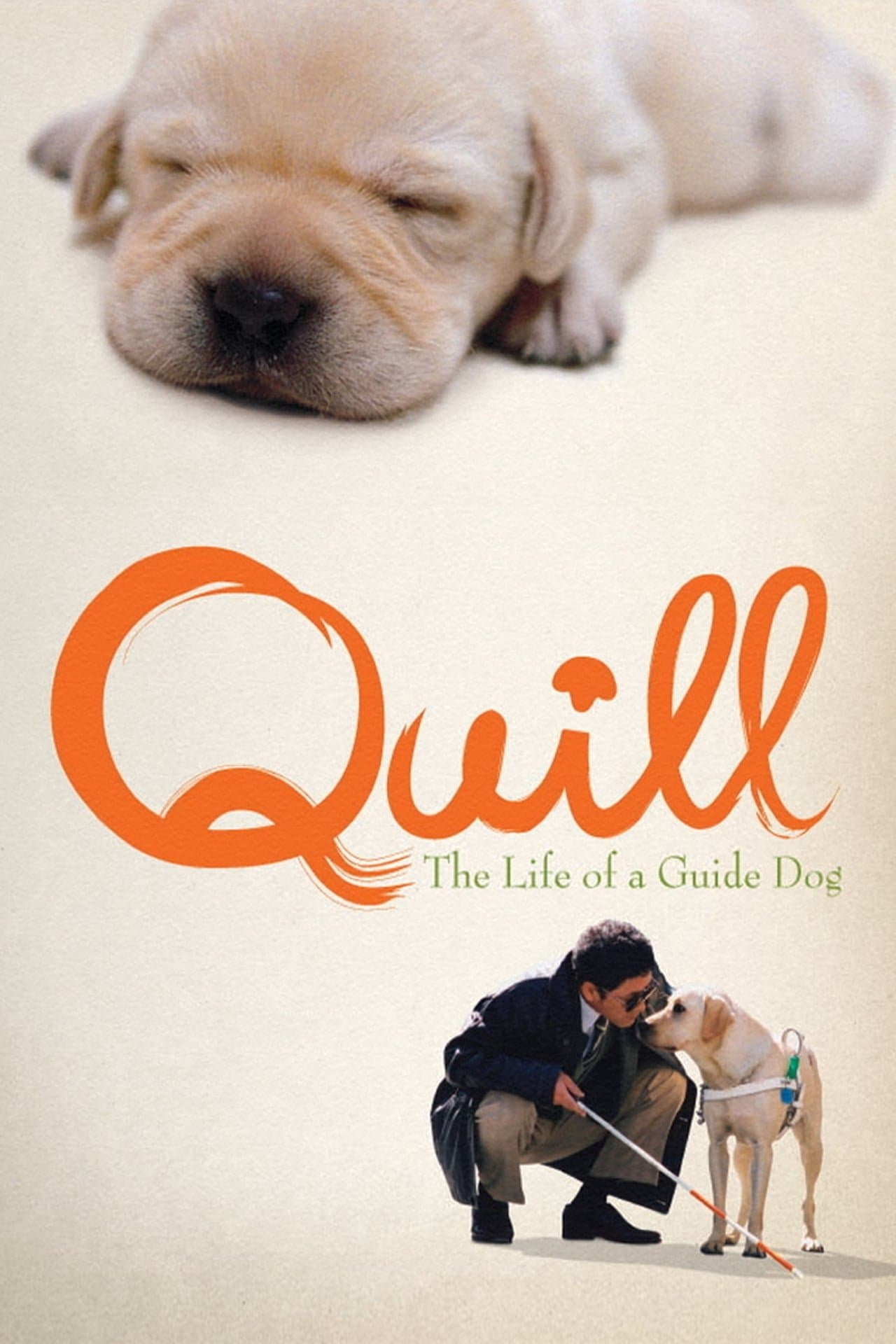 Poster Quill: The Life of a Guide Dog