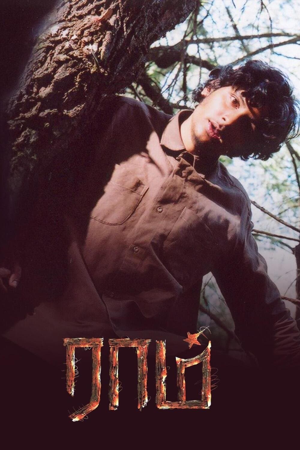 Poster Raam