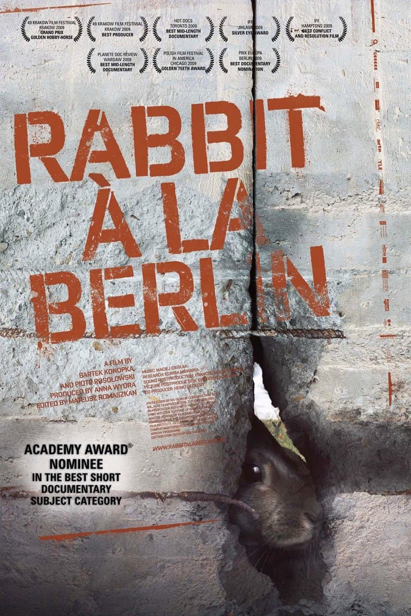 Poster Rabbit à la Berlin