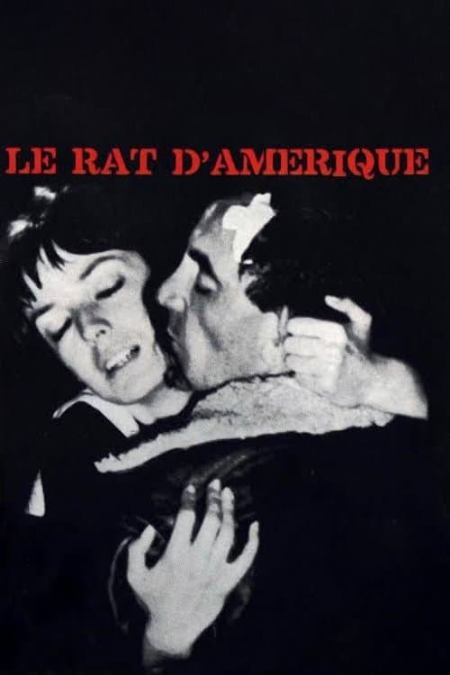Poster Rat Trap