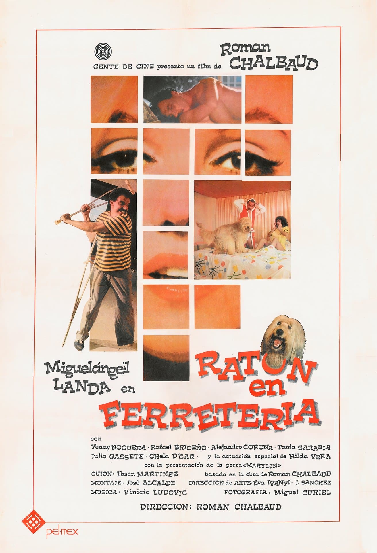Poster Ratón en Ferretería