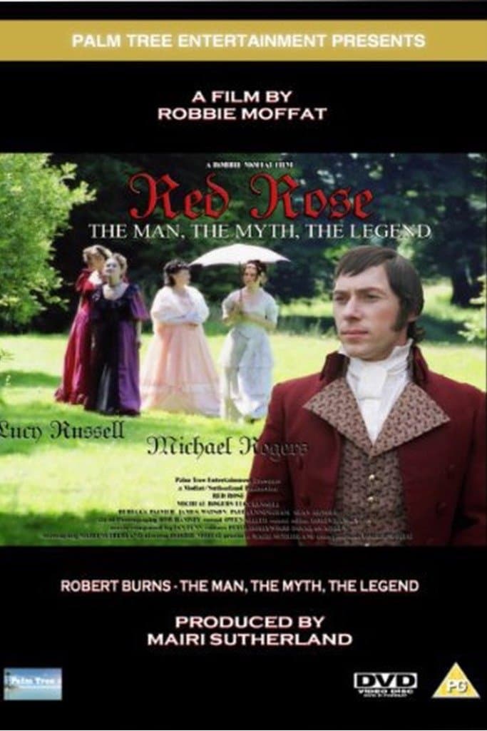 Poster Red Rose