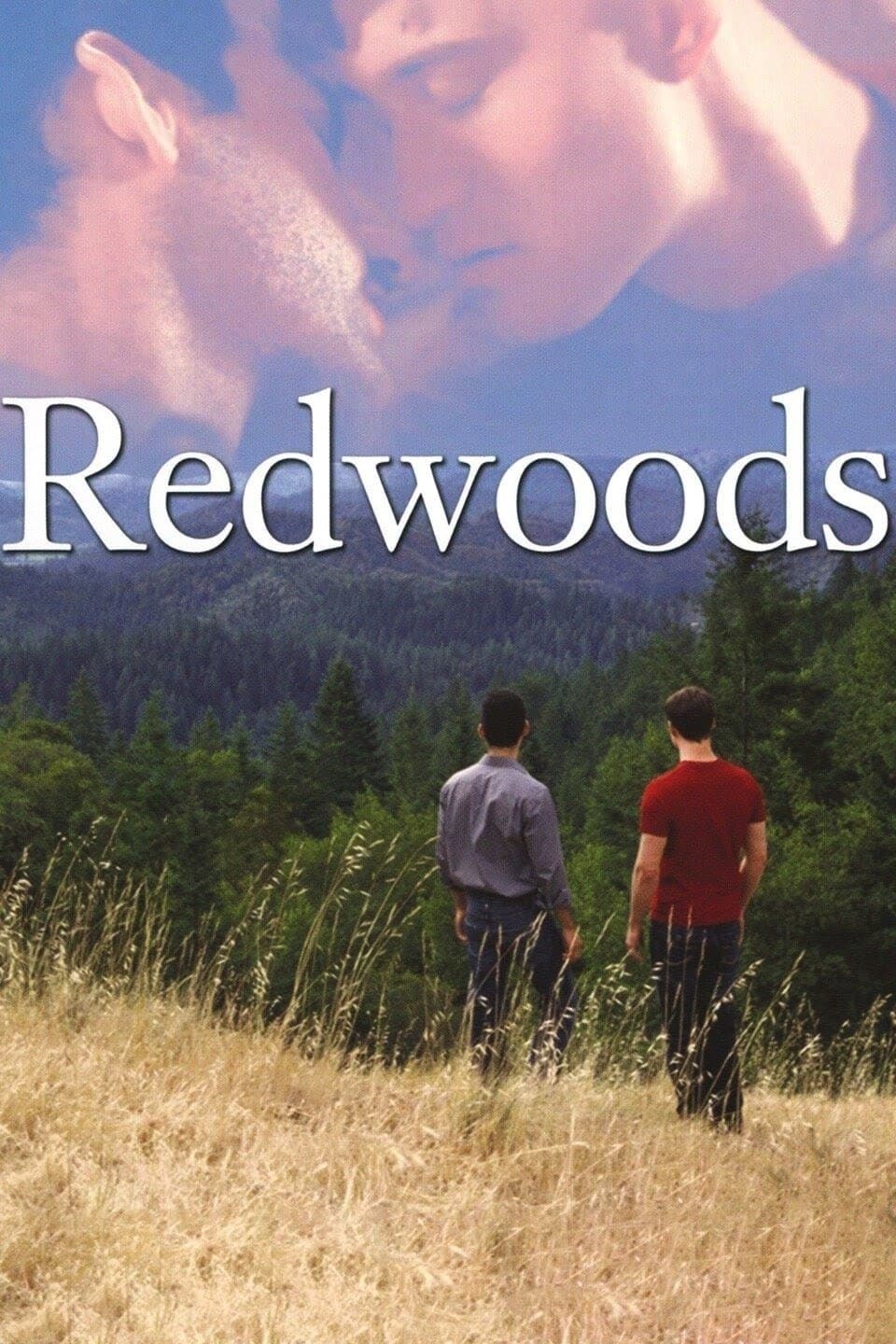 Poster Redwoods