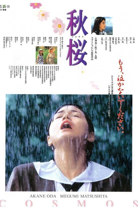 Poster Remembering the Cosmos Flower